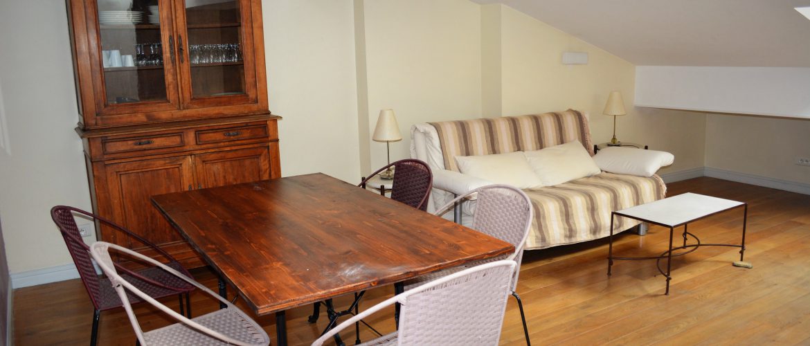 salon_appartement_la_mansarde